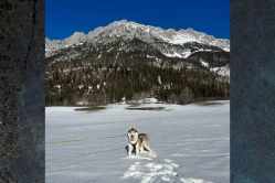 Lumi 2